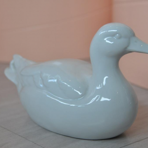 Ente4.jpg