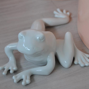 frosch.jpg